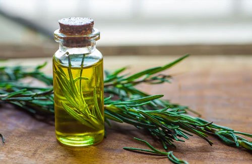 Rosemary Essential Oil